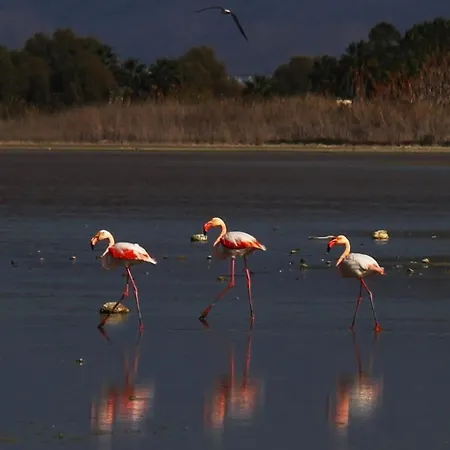 펜션 Calma Country Living Linopotis