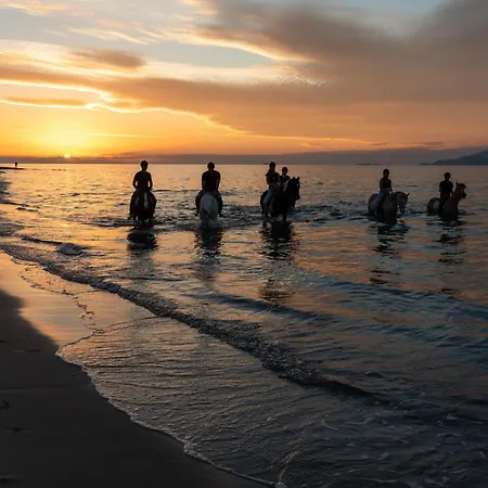 Calma Country Living Linopotis