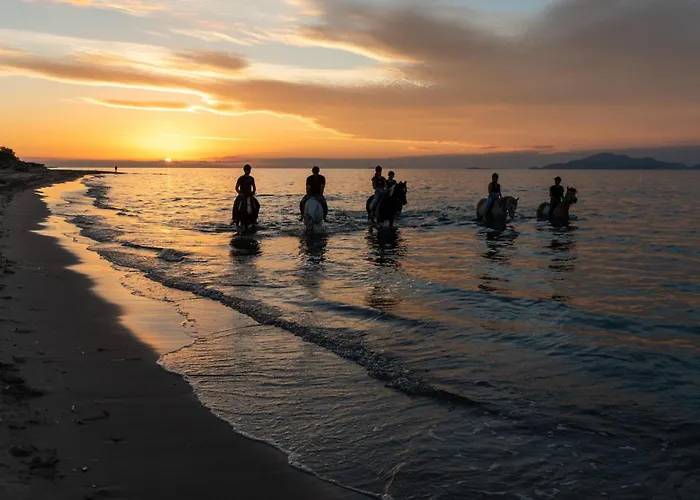 Calma Country Living Linopotis